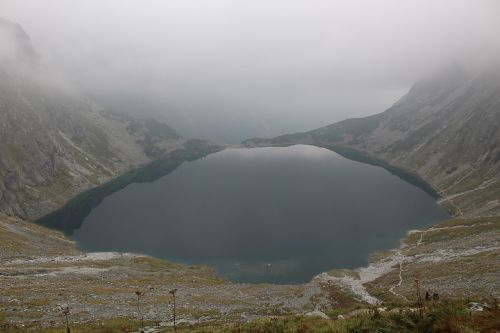 buried black pond nature