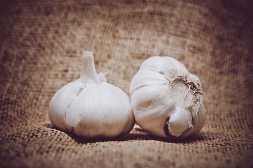burlap garlic vegetable