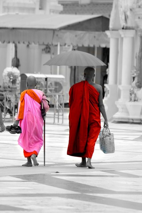 burma myanmar monk