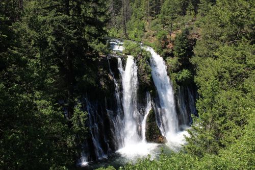 burney falls waterfall trees