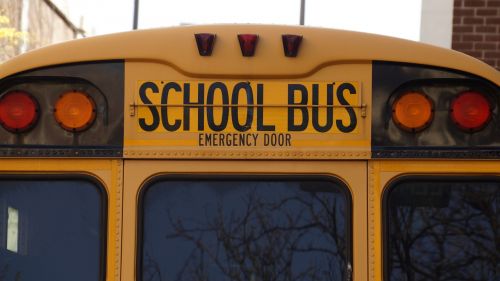 bus school school bus