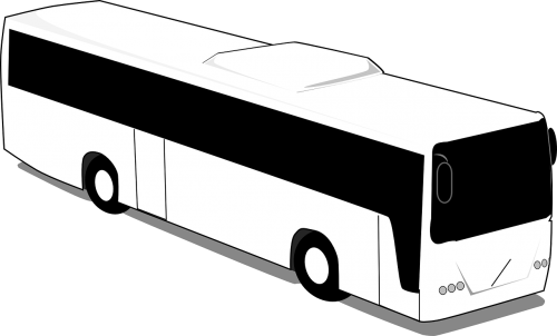 bus white black