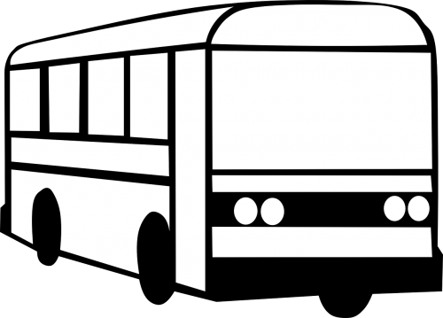 bus automobile carrier