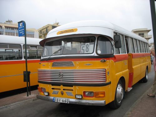 bus malta vehicles