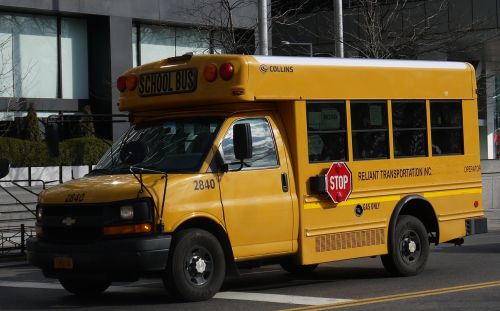 bus school bus new york