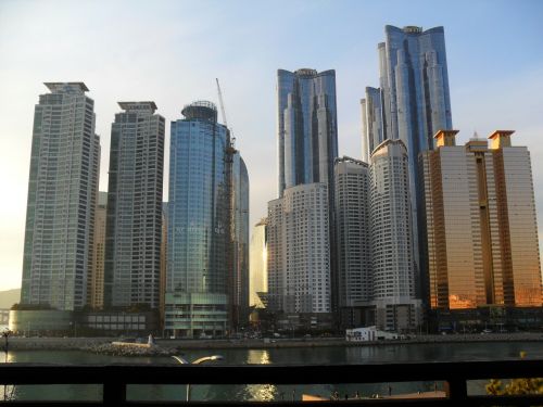 busan skyscraper building