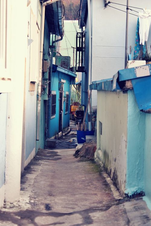 busan alley landscape