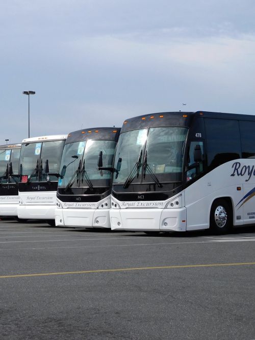 buses travel transportation