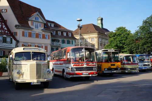 buses bus oldtimer