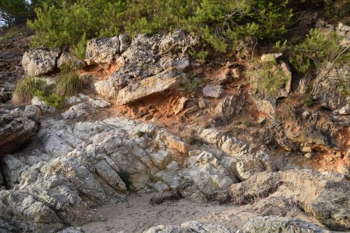 bush rock coast