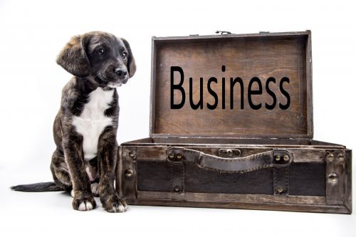Business Background With Dog