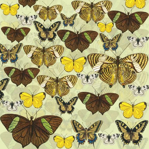 butterflies yellow scrapbook background