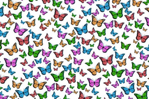 butterflies colorful pattern