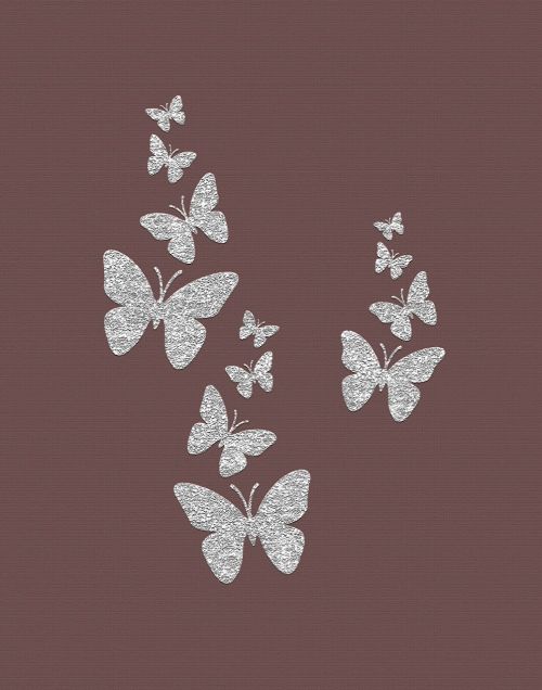 butterflies nature silver