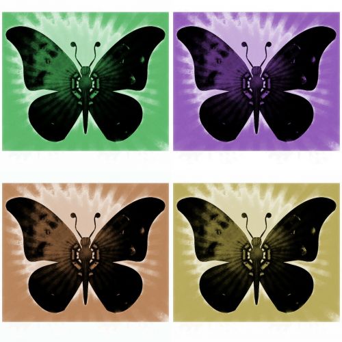 butterflies insects background
