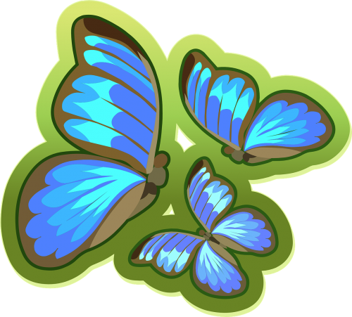 butterflies blue butterfly