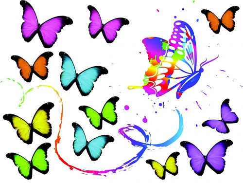 butterflies art color