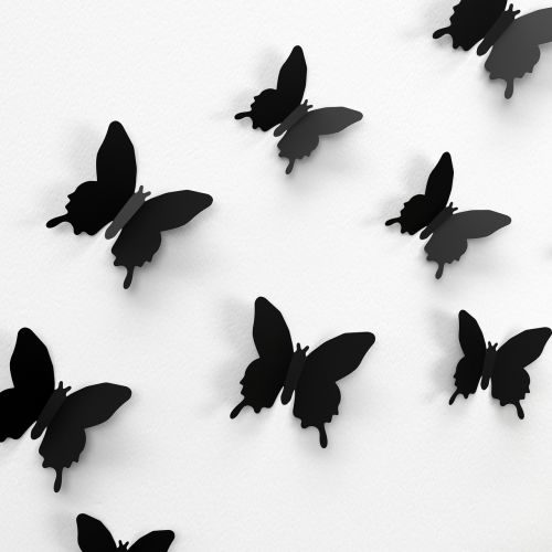 butterfly wall decoration