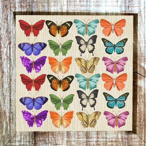 butterfly framed colorful