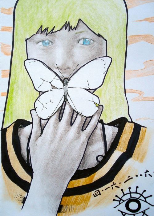 butterfly painting drawing