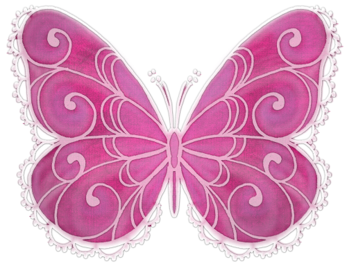 butterfly pink colorful