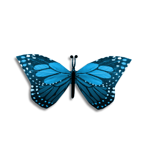 butterfly blue drawing