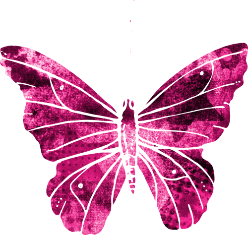 butterfly pink clipart