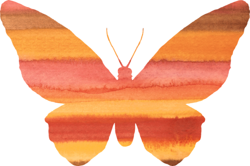 butterfly clipart orange
