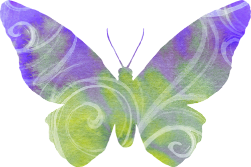 butterfly purple green