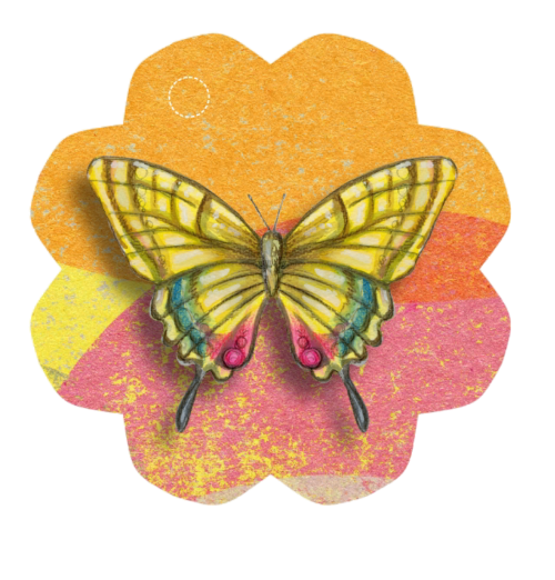 butterfly star tag