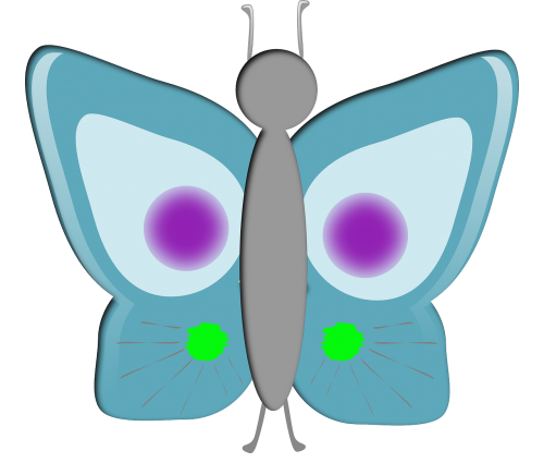butterfly insect animal