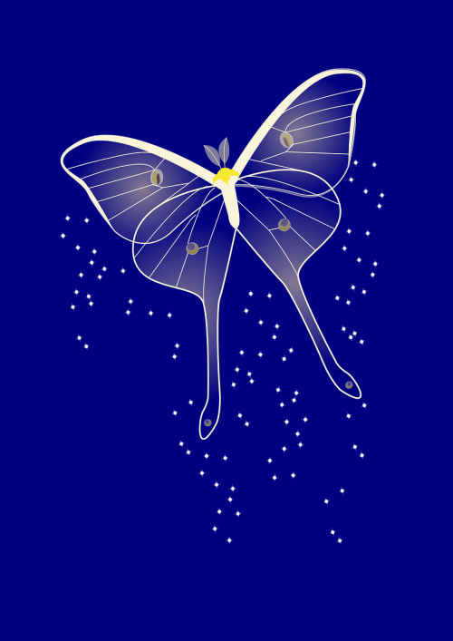 butterfly romantic blue