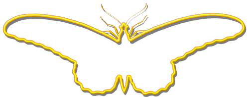 butterfly yellow silhouette