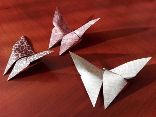 butterfly origami map