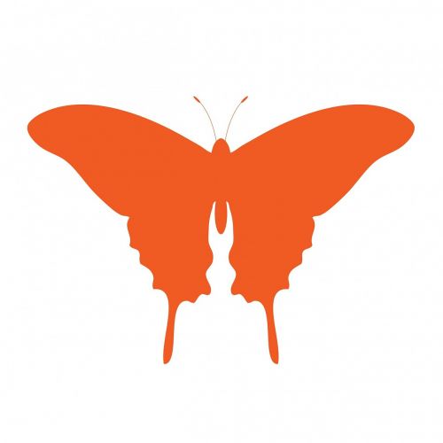 butterfly orange art