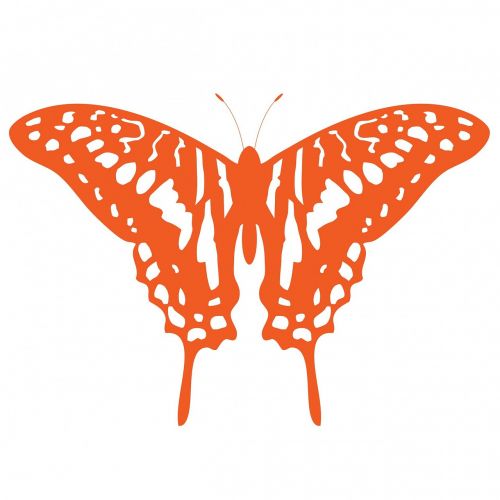 butterfly orange art