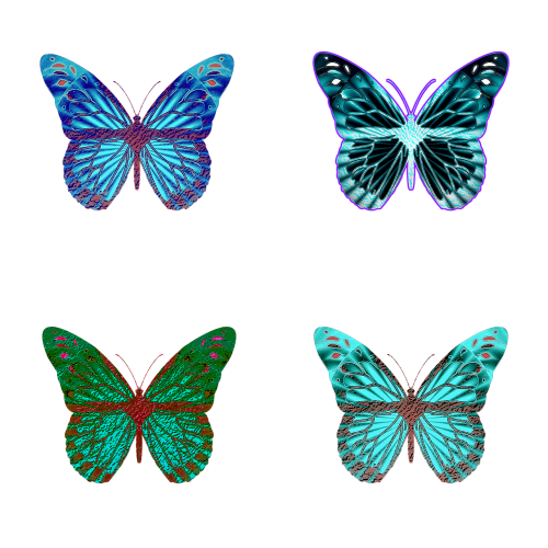 butterfly butterflies iridescent
