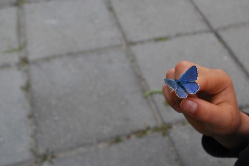 butterfly hand finger