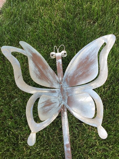 butterfly nature metal