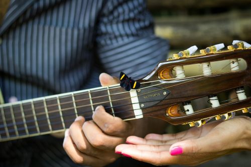 butterfly guitar casal