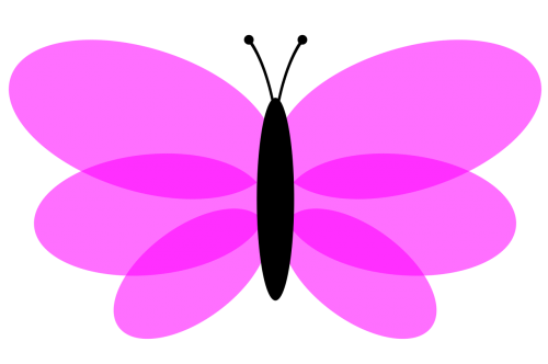 butterfly color flight
