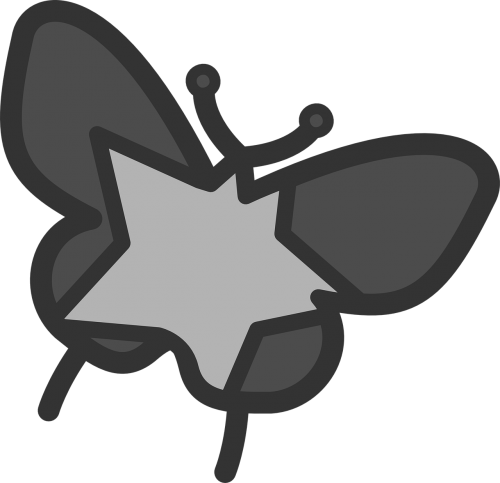 butterfly star moth