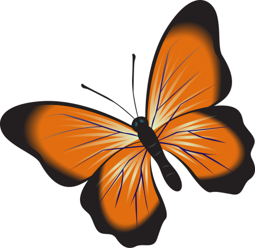 butterfly orange clip art