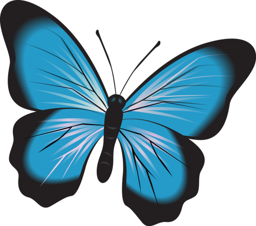 butterfly blue clip art