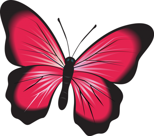 butterfly pink clip art