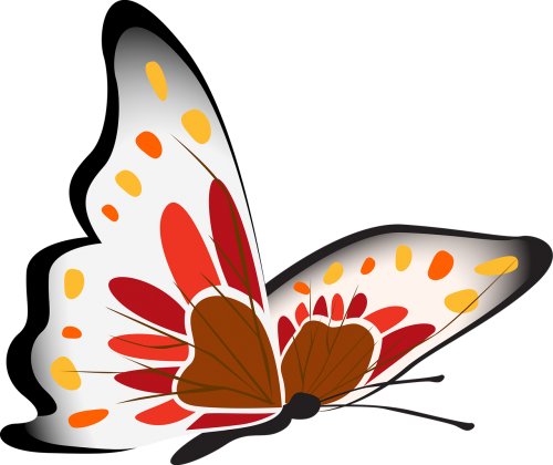 butterfly white red