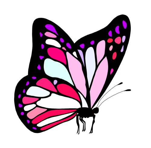 butterfly pink cute
