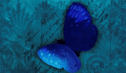 butterfly background blue