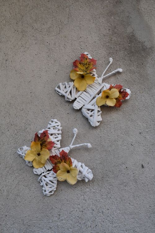 butterfly butterflies flowers