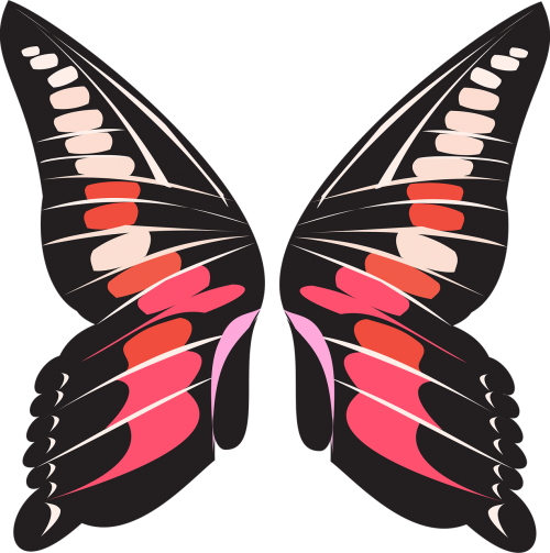 butterfly wings pink